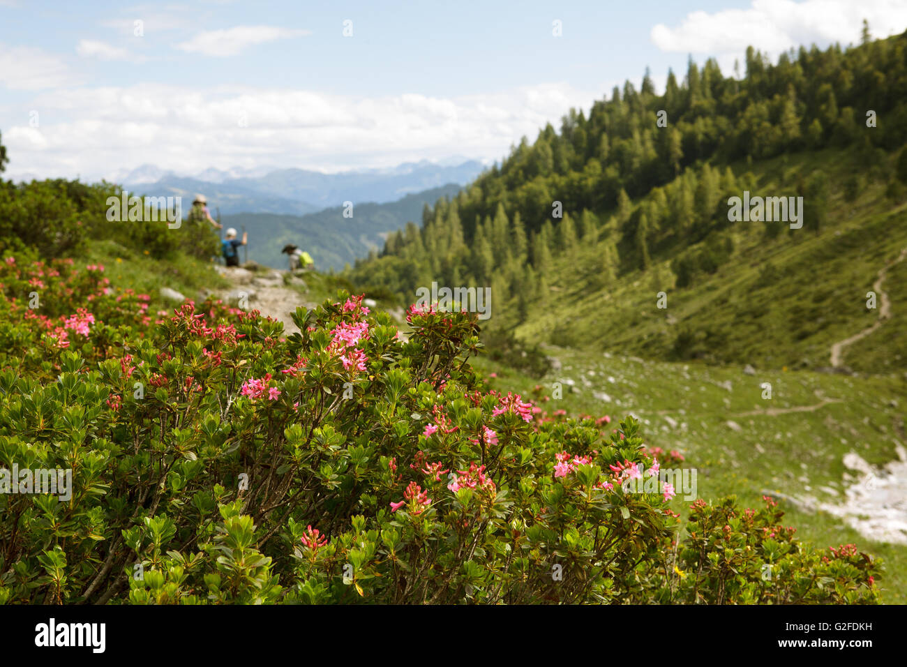 Father with son and daughter on hiking trip in the european alps Stock Photo