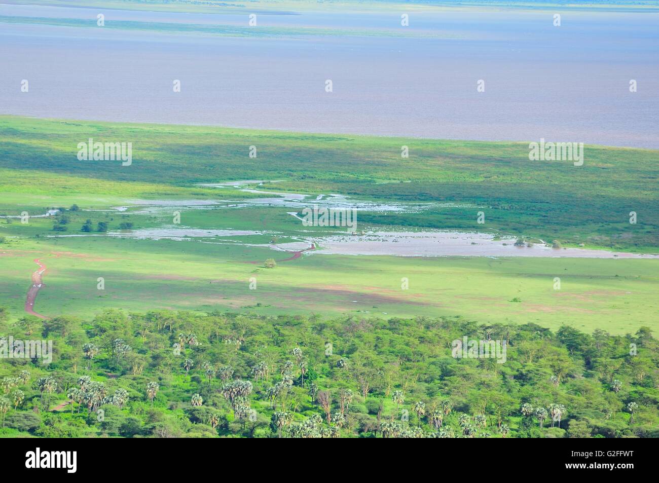 Flooded western shore of Lake Manyara Stock Photo