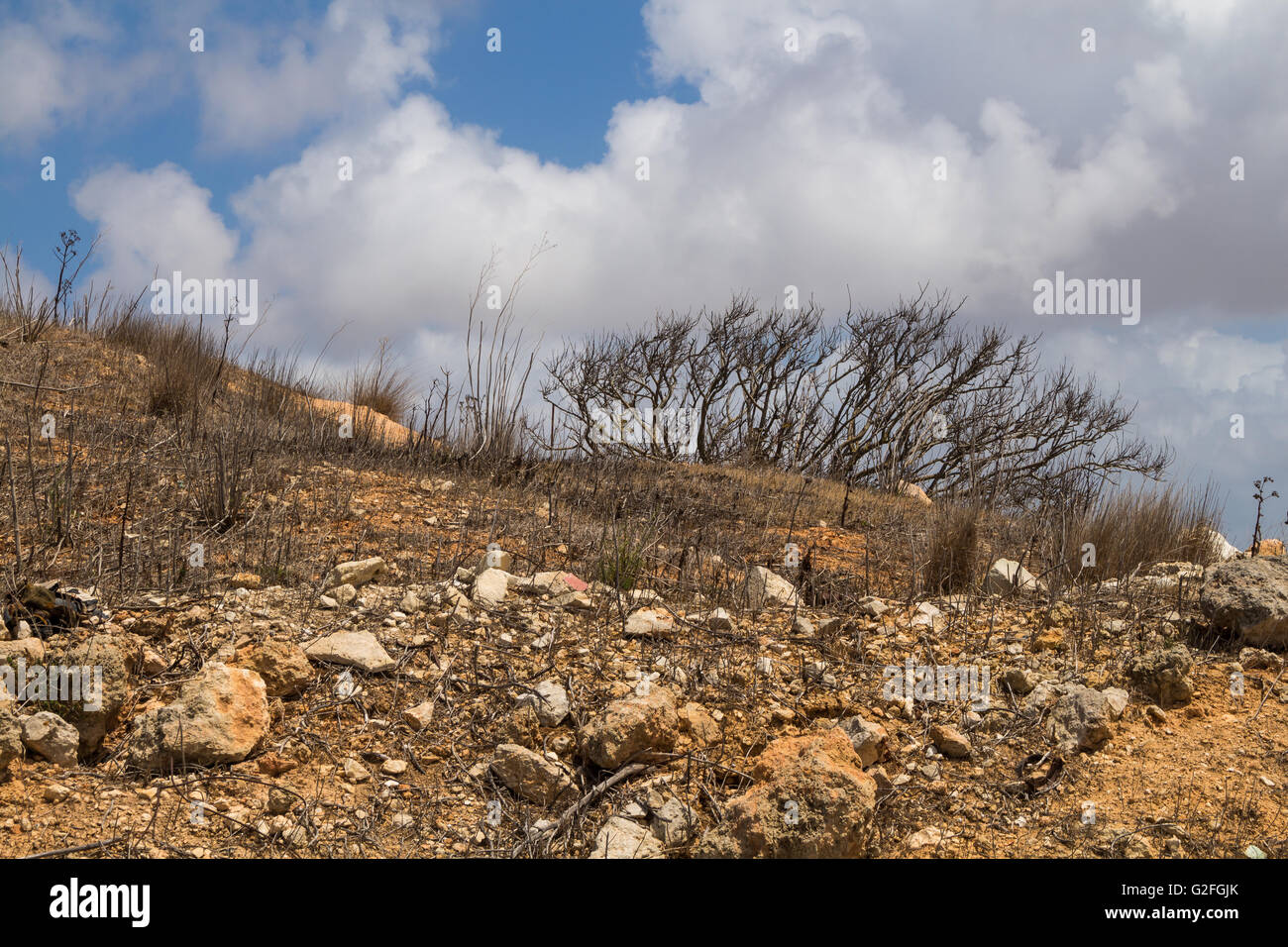 Dry soil with many stones, typical for the island Malta. Coastal part of the island. Intense white clouds on the blue sky. Stock Photo
