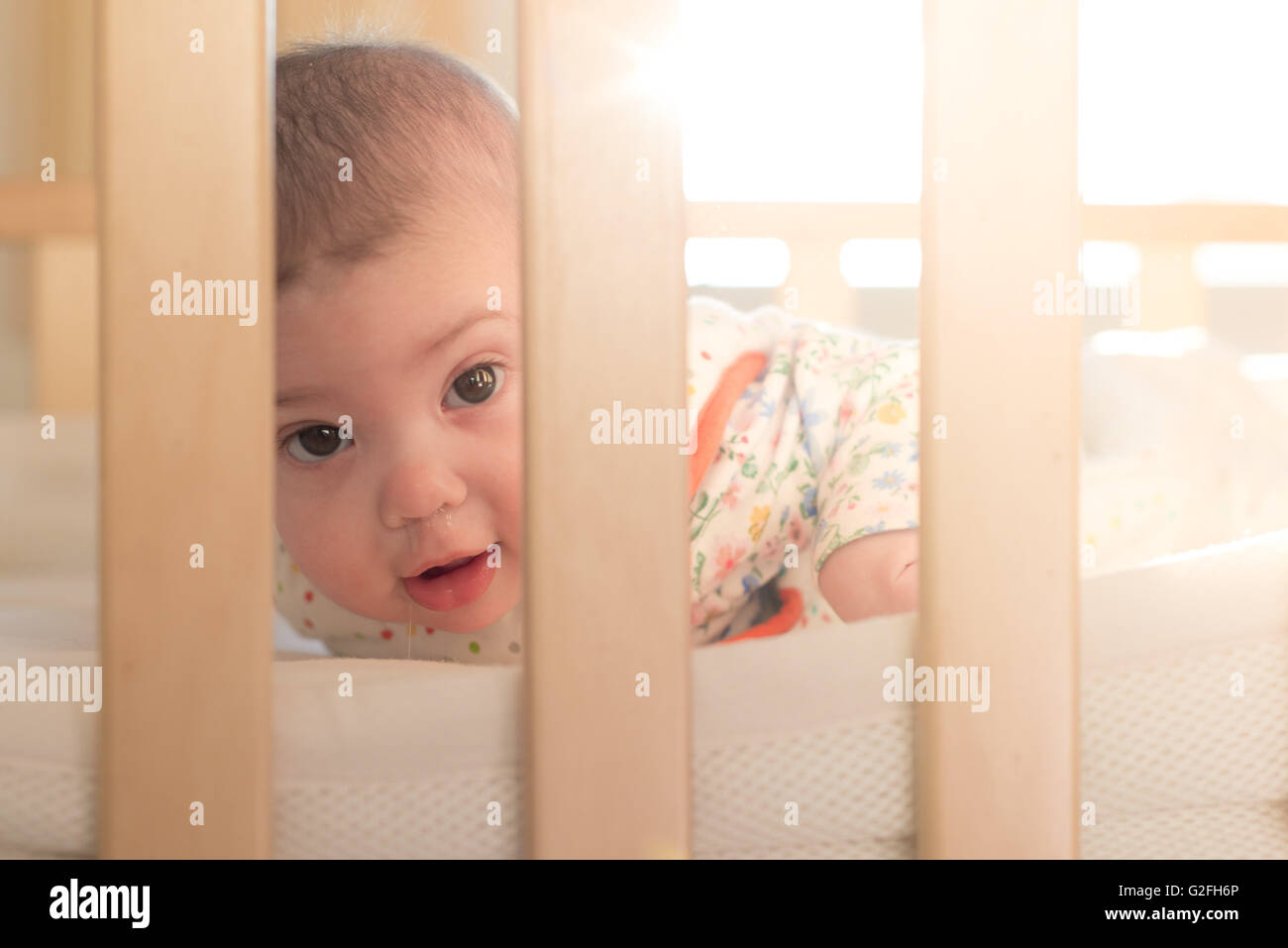 Baby looking through cot Stock Photo