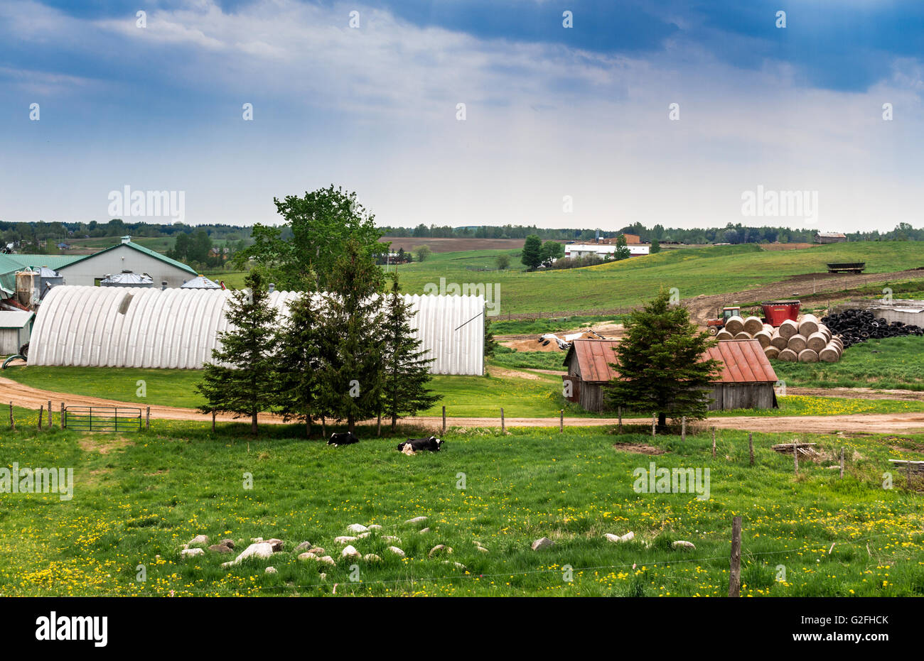 dairy farm landscape from the hill at spring Stock Photo Alamy