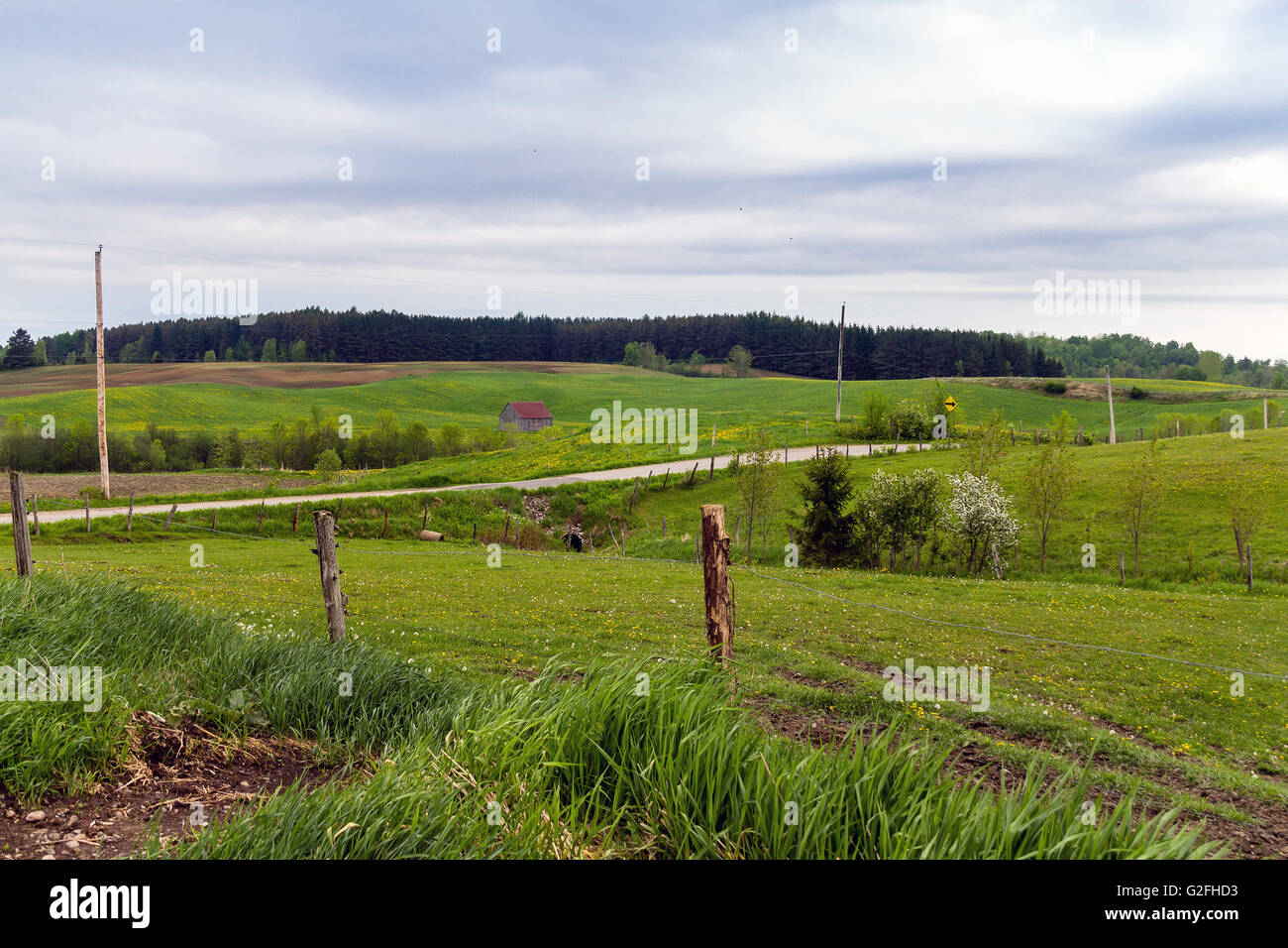 rural fields landscape St-Alban, Quebec Canada Stock Photo