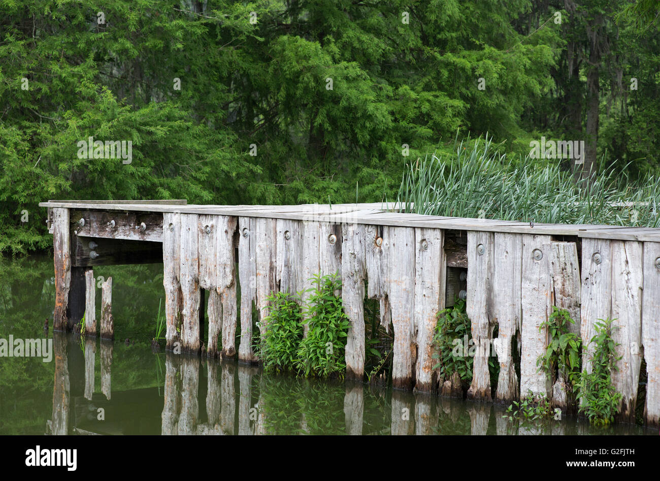 Weathered old dock on the shoreline of Lake Martin in Louisiana Stock Photo