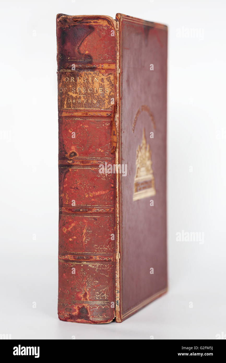 The Origin Of Species by Charles Darwin 1906 Leatherbound Book Stock Photo