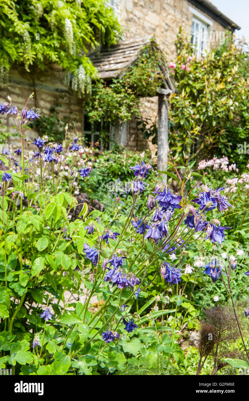 A traditional English cottage garden Stock Photo