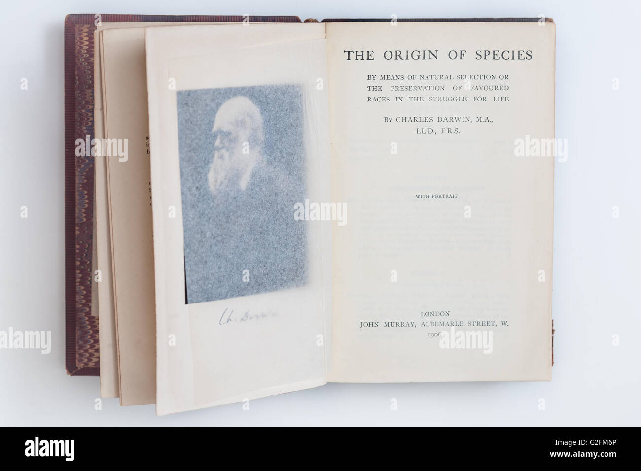 The Origin Of Species by Charles Darwin 1906 Leatherbound Book Stock Photo