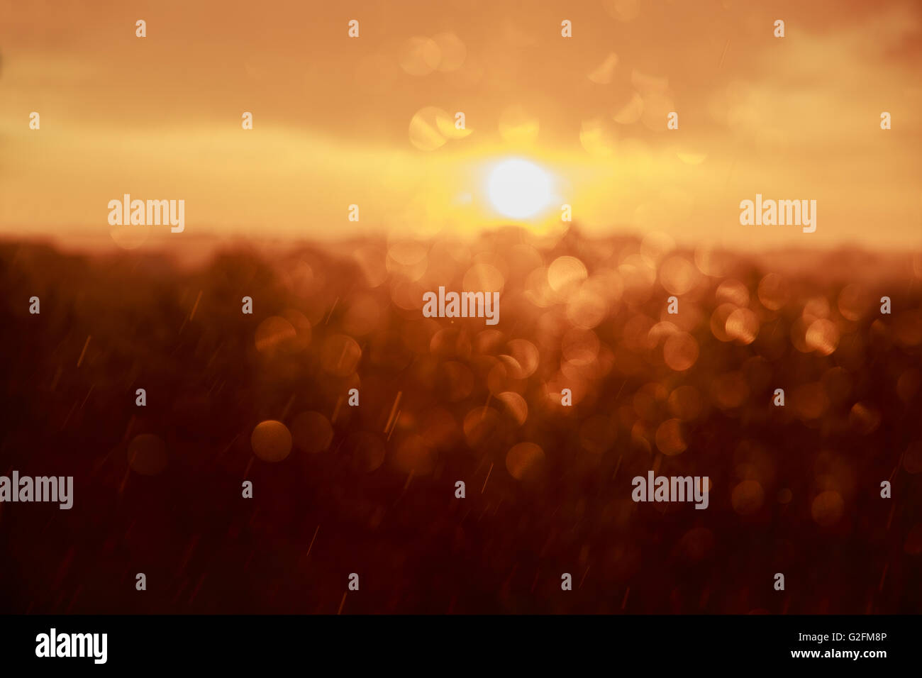 The drops on glass bokeh background. Sunset and rain. Stock Photo