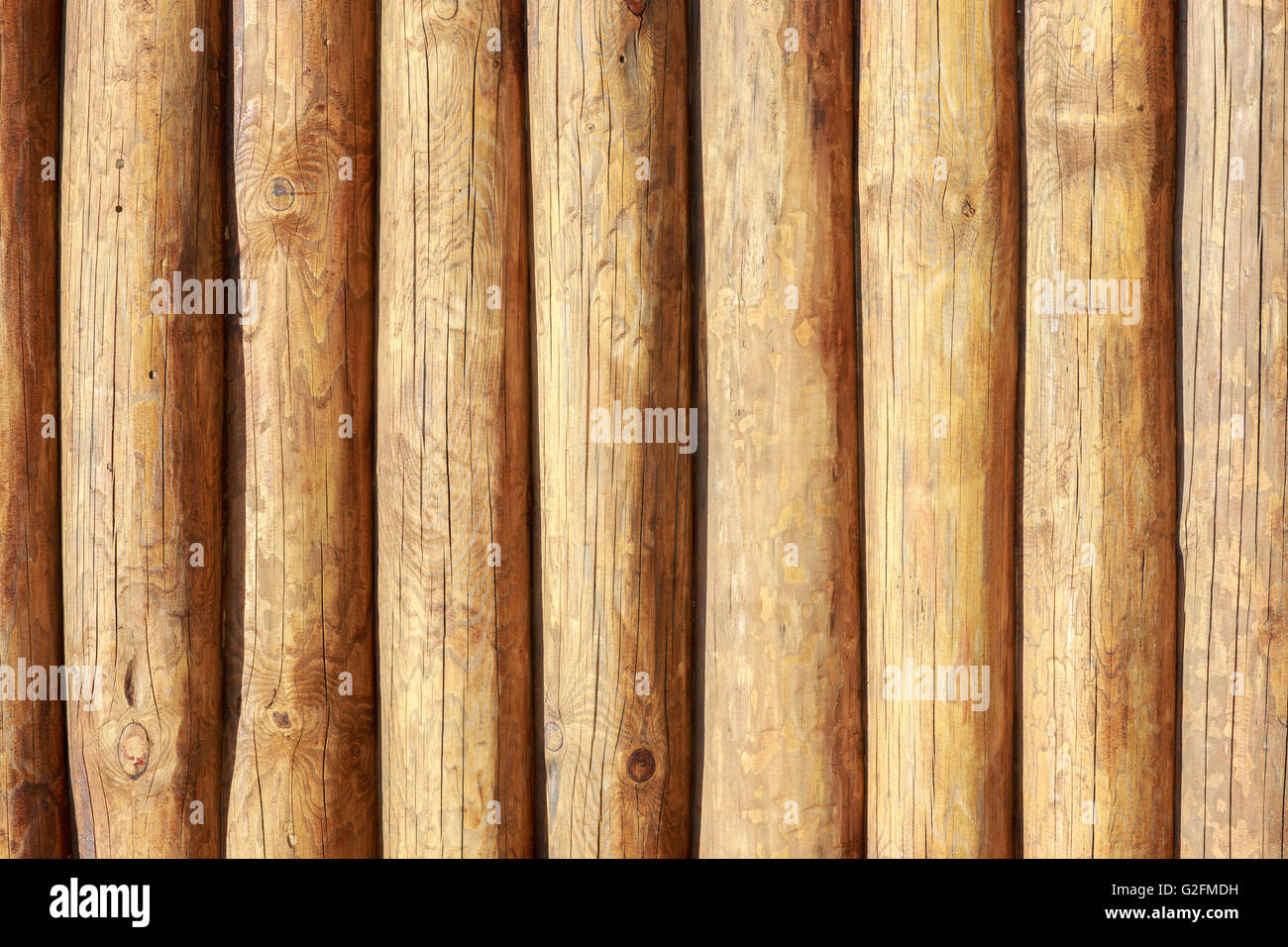 Solid wood backgroung texture of whole logs. Stock Photo