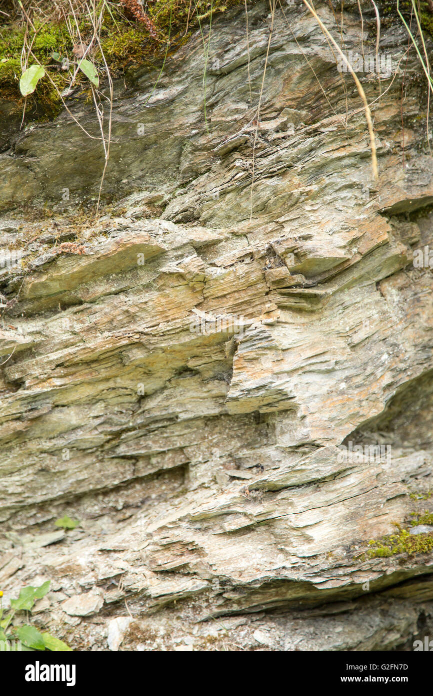 Background of stratified rock surface texture similar to a tree bark Stock Photo