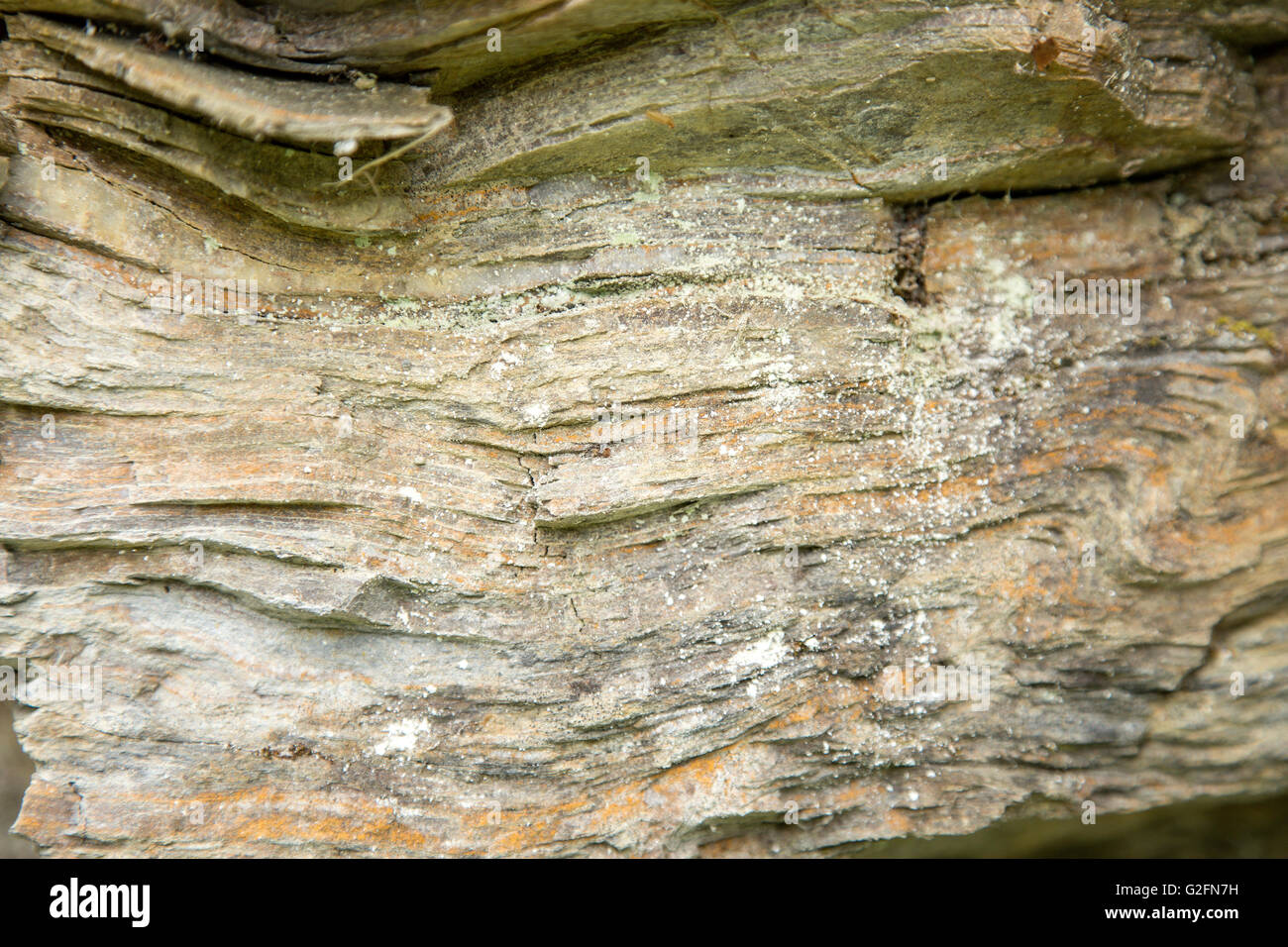 Stratified rock surface texture similar to a tree bark background Stock Photo