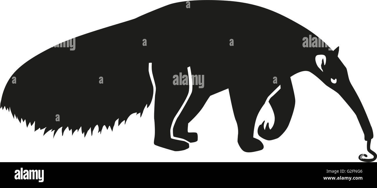 Ant Eater silhouette with tongue Stock Photo