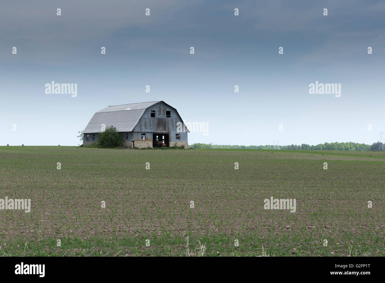 Decrepit barn in a farmers field Stock Photo - Alamy