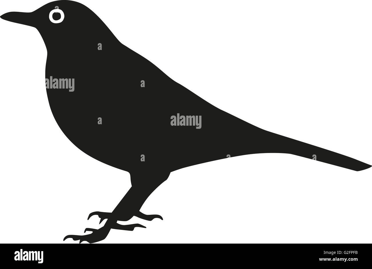Flying blackbird Cut Out Stock Images & Pictures - Alamy