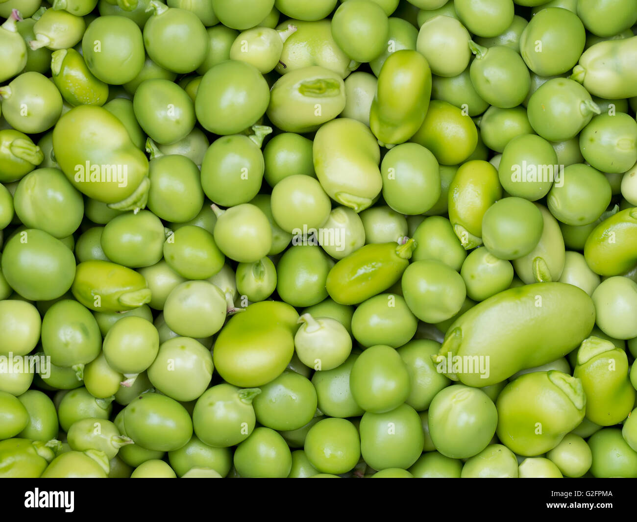 Freshly podded peas and broad beans. From my garden Stock Photo Alamy