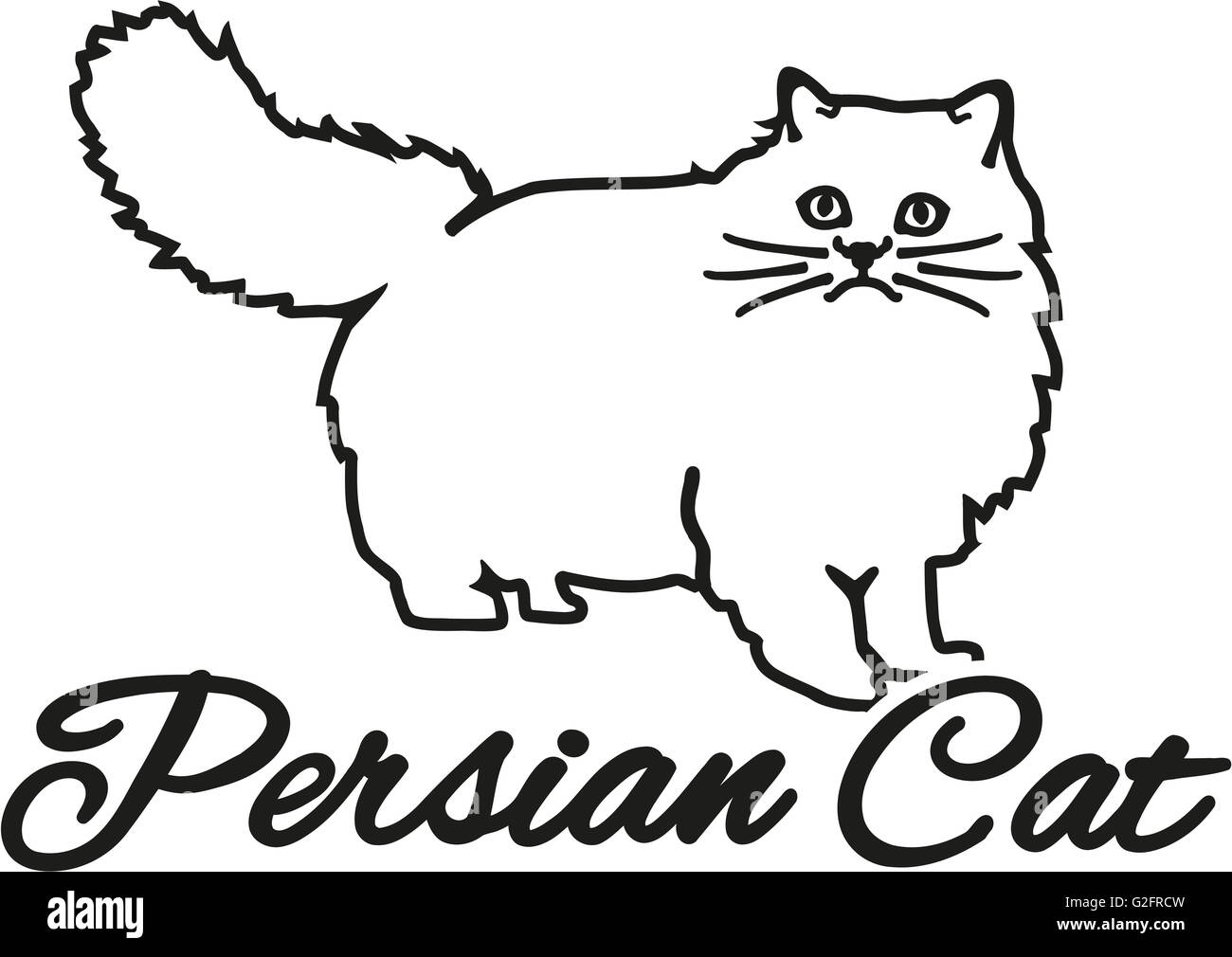 Persian cat with breed name Stock Photo