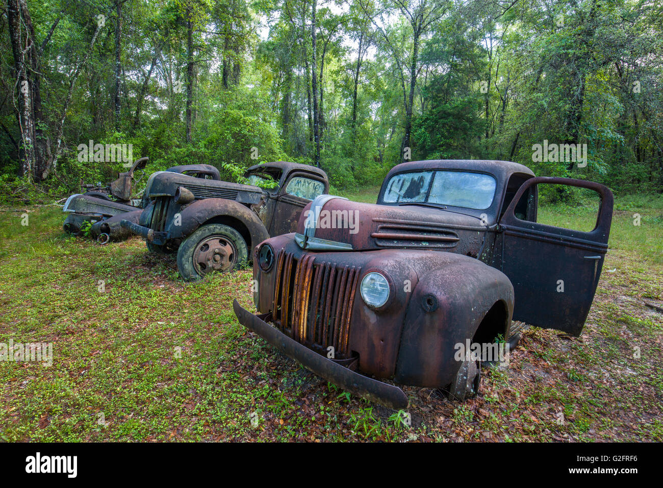 Old rusted abandoned cars and trucks in Crawfordville Florida Stock