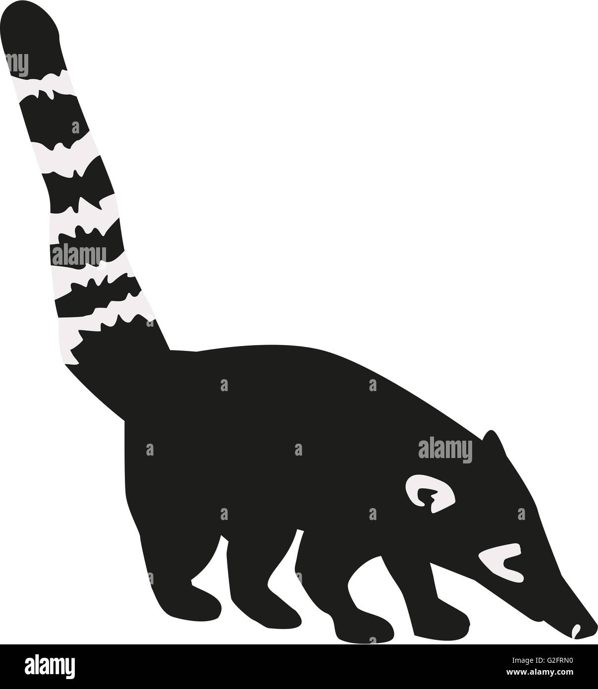 Coati with striped tail Stock Photo - Alamy