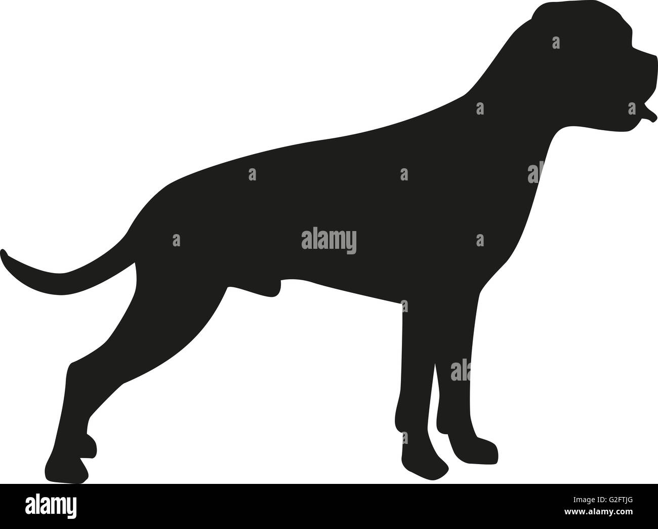 Boxer silhouette hi-res stock photography and images - Alamy