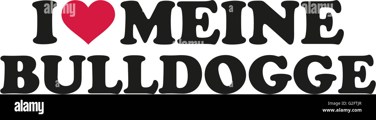 Imagine This! Auto-Magnet „I Love My Bulldog“ – Knochenform, 2 Stück, UV-beständig