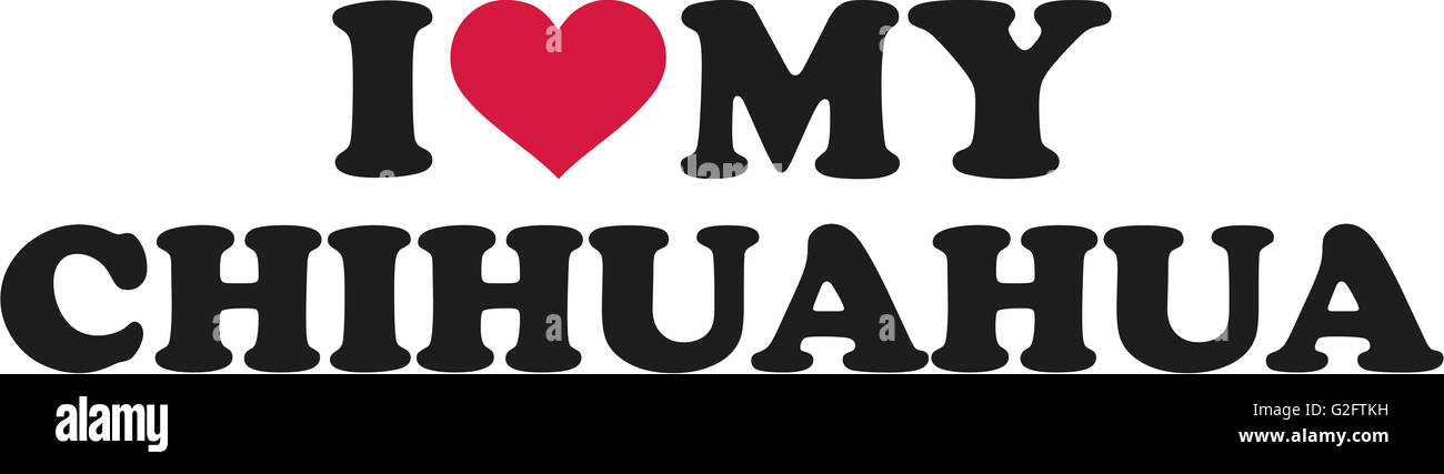 Auto-Magnet „I Love My Chihuahua“ – Knochenform, 5,1 X 17,8 Cm, UV-beschichtet