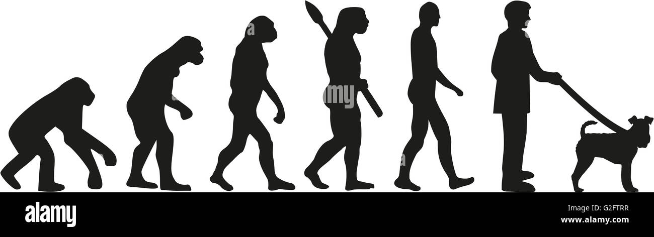 Fox Evolution Over Time Fox Terrier evolution Stock Photo - Alamy