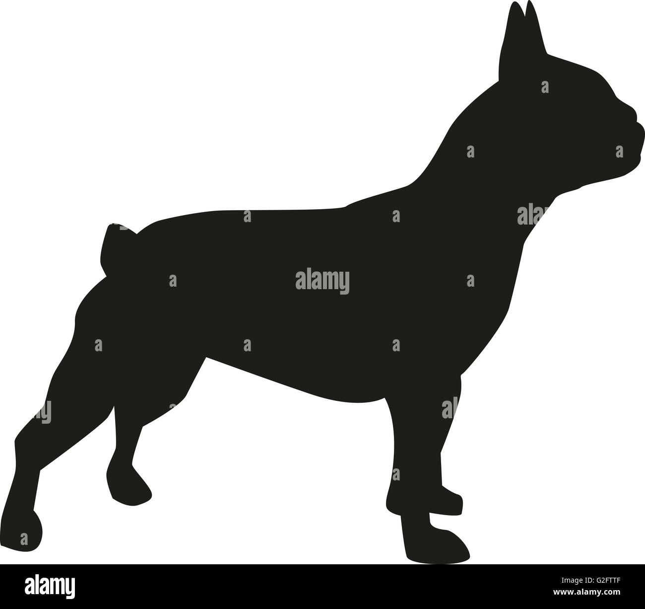 French bulldog silhouette Stock Photo - Alamy