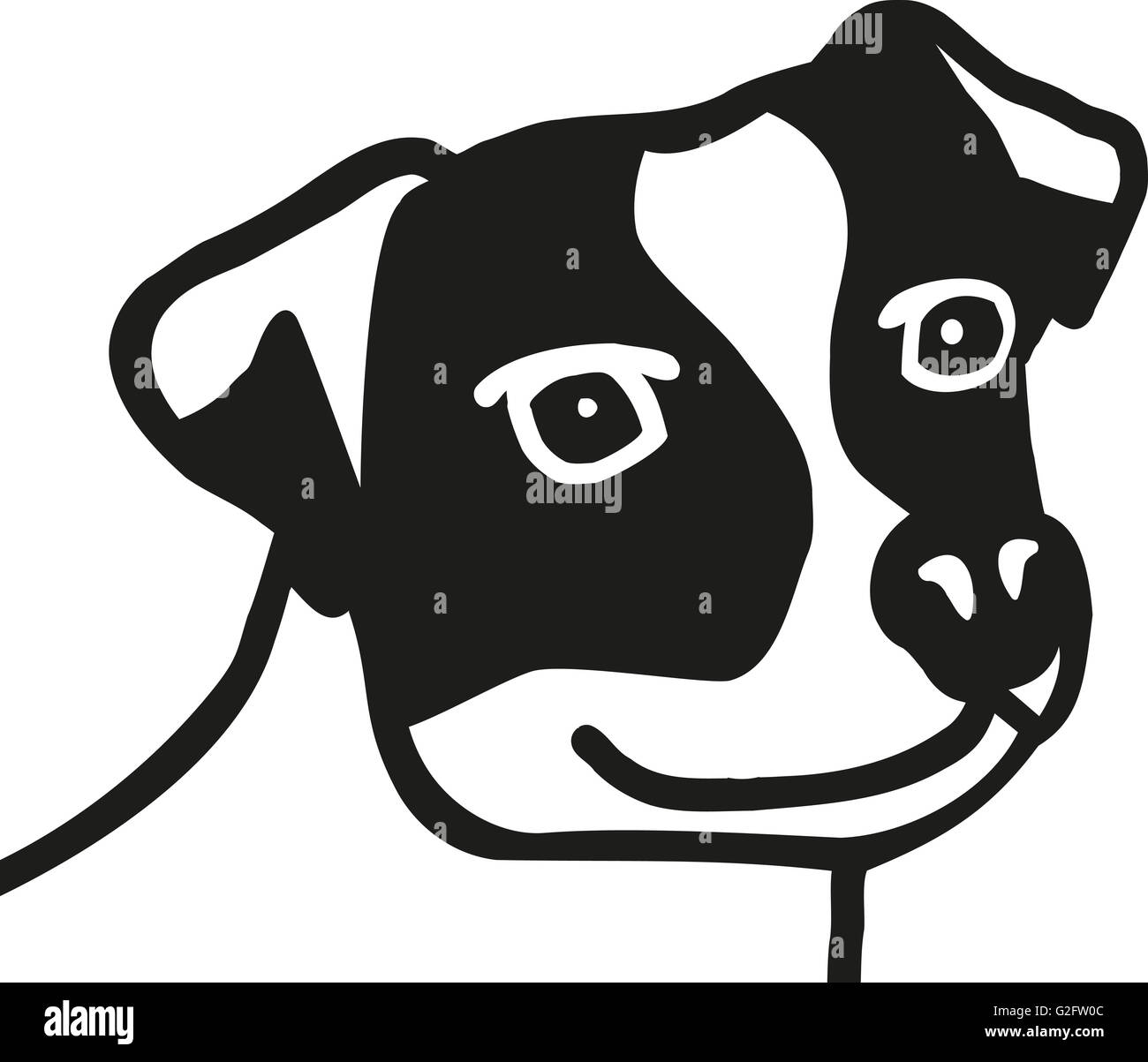 Jack Russell Terrier head Stock Photo Alamy