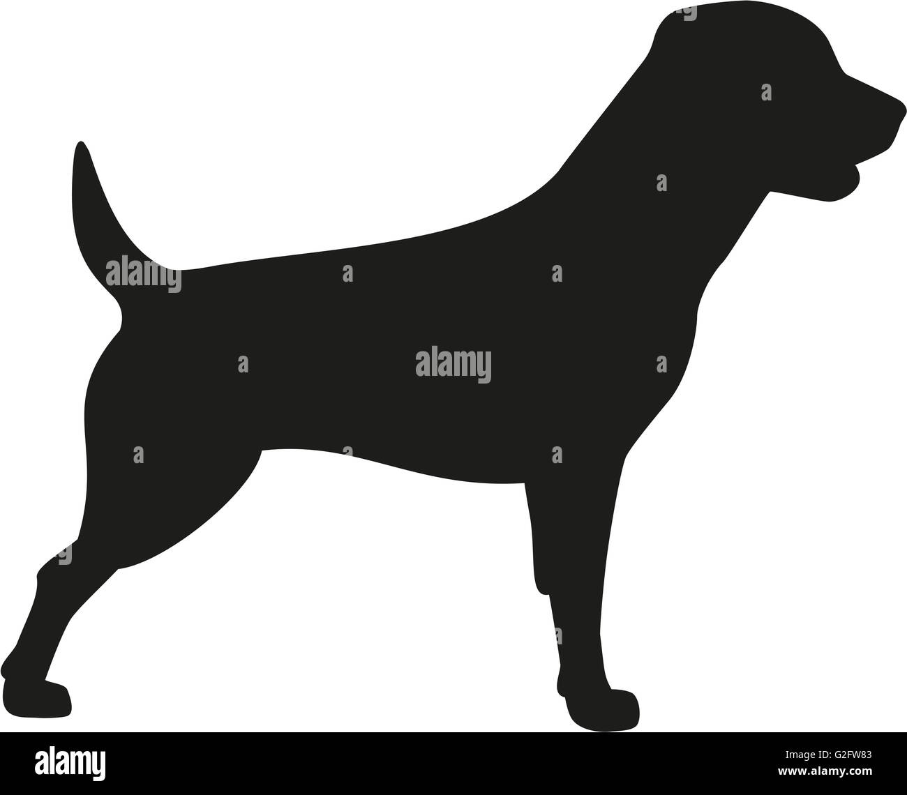 Rottweiler dog icon Stock Photo