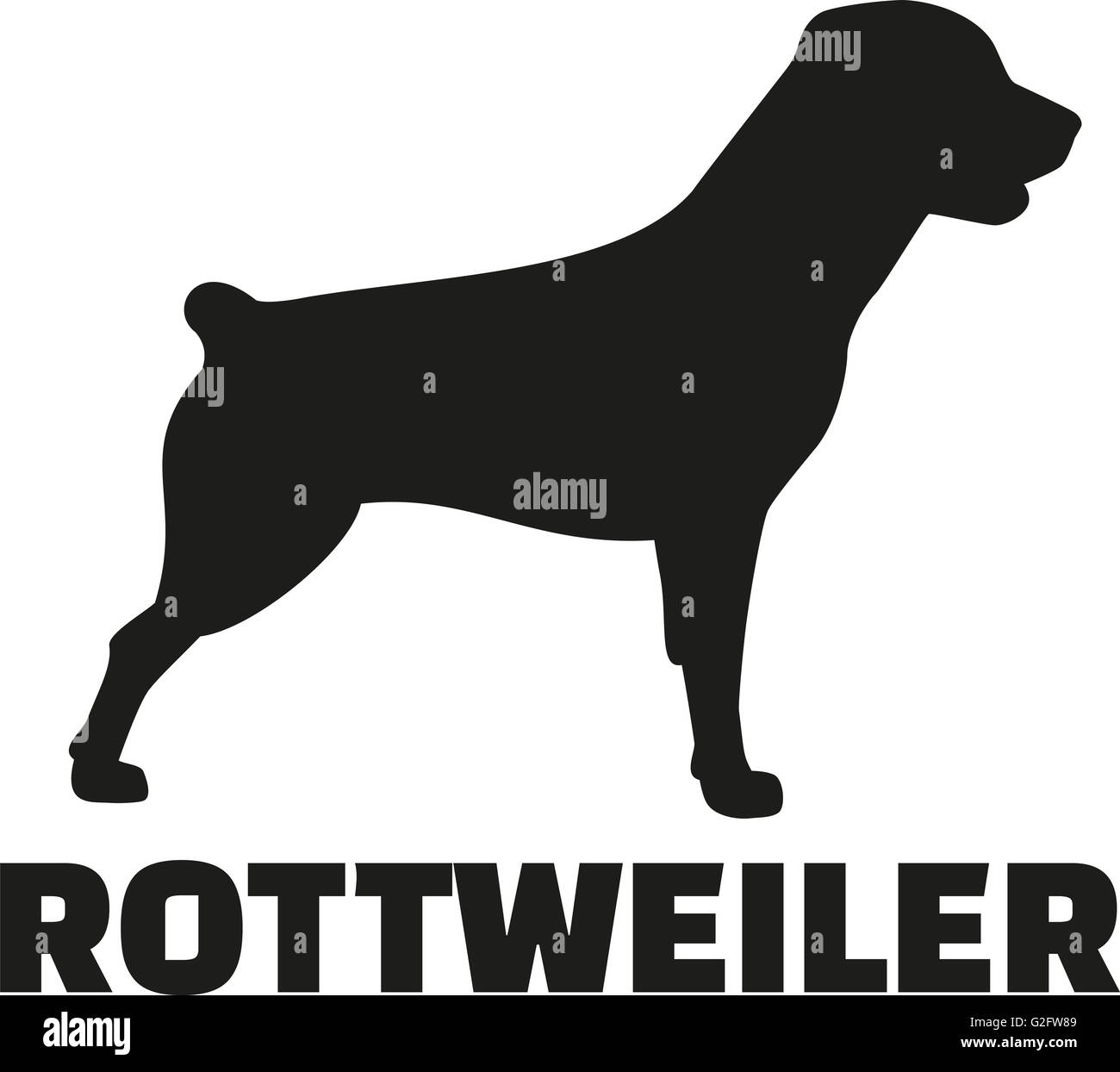 Rottweiler with breed name with short tail Stock Photo