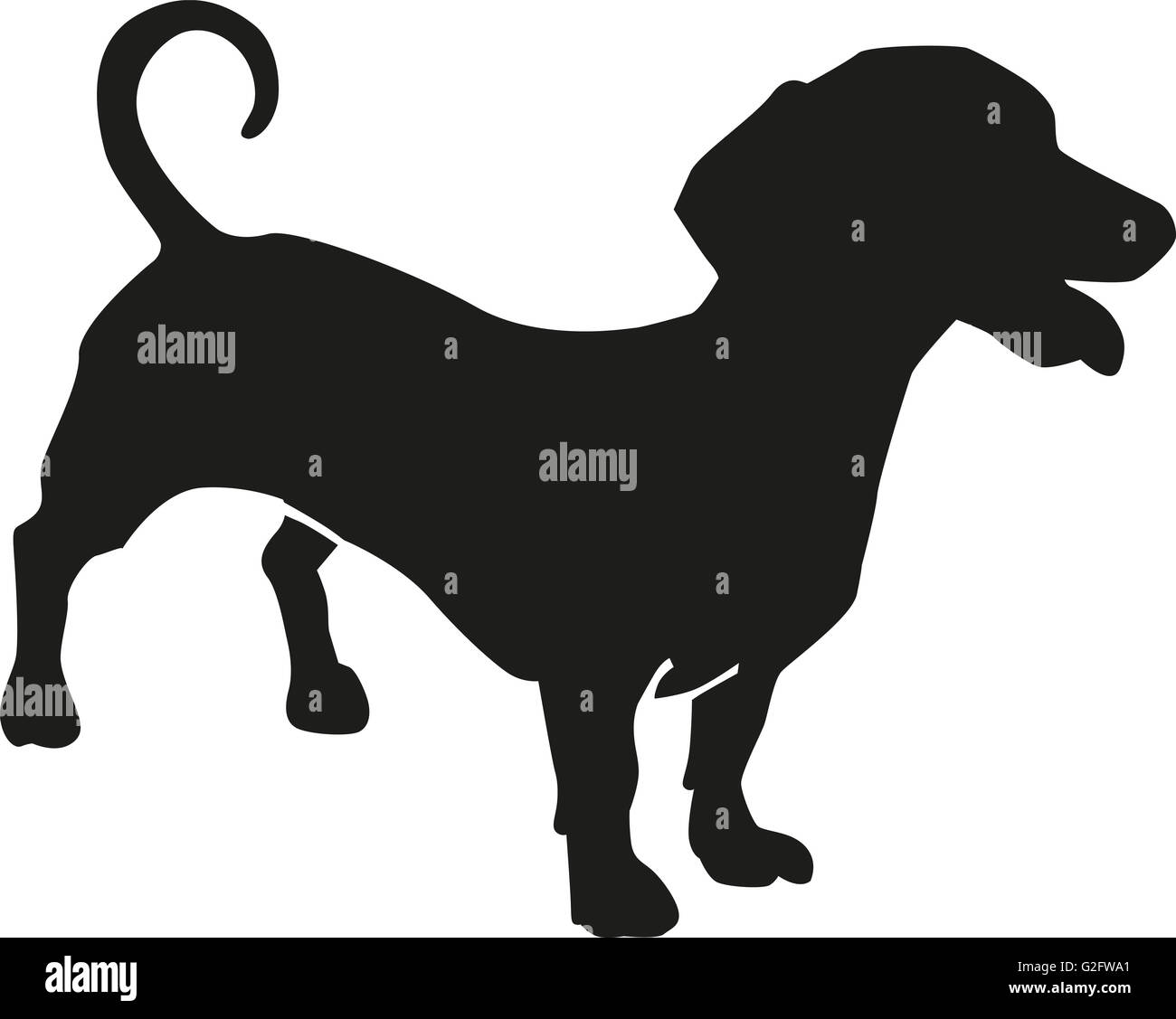 Dachshund sausage dog silhouette Stock Photo