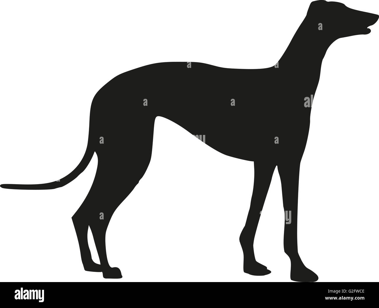 Greyhound logo hires stock photography and images Alamy