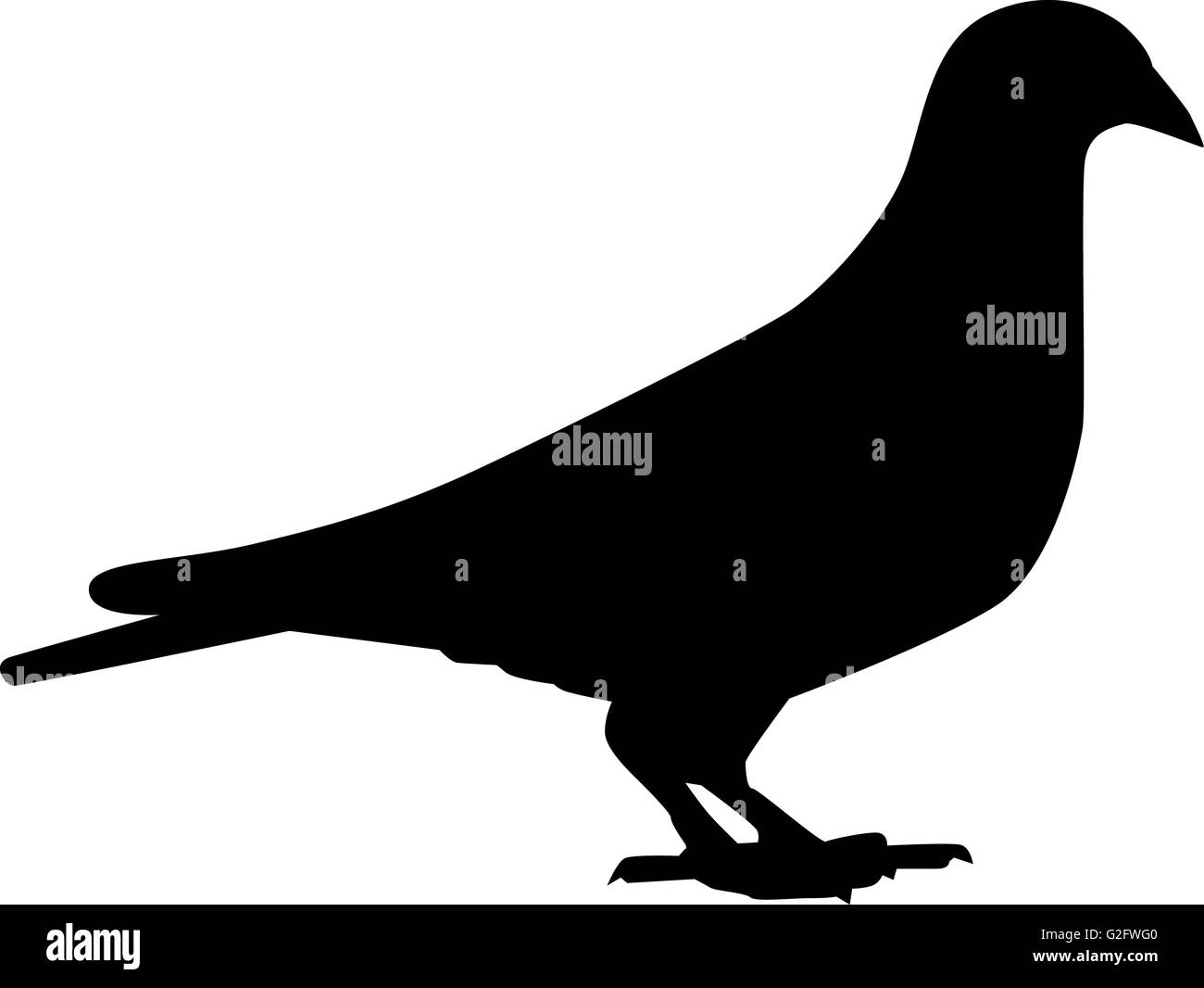 Sitting dove silhouette Stock Photo - Alamy