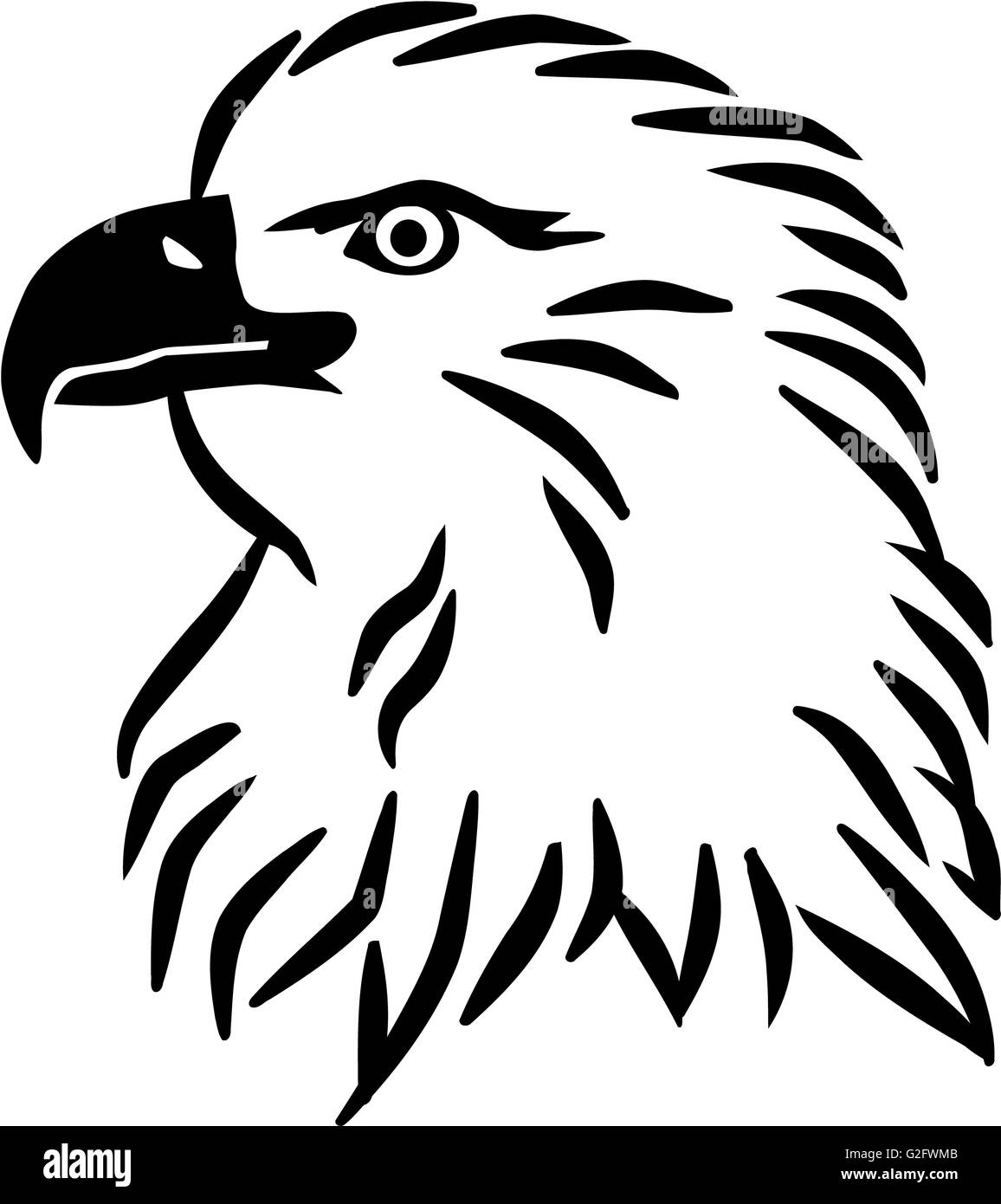 Bald eagle head Black and White Stock Photos & Images - Alamy