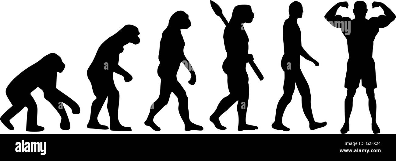 Evolution Body Building Stock Photo - Alamy