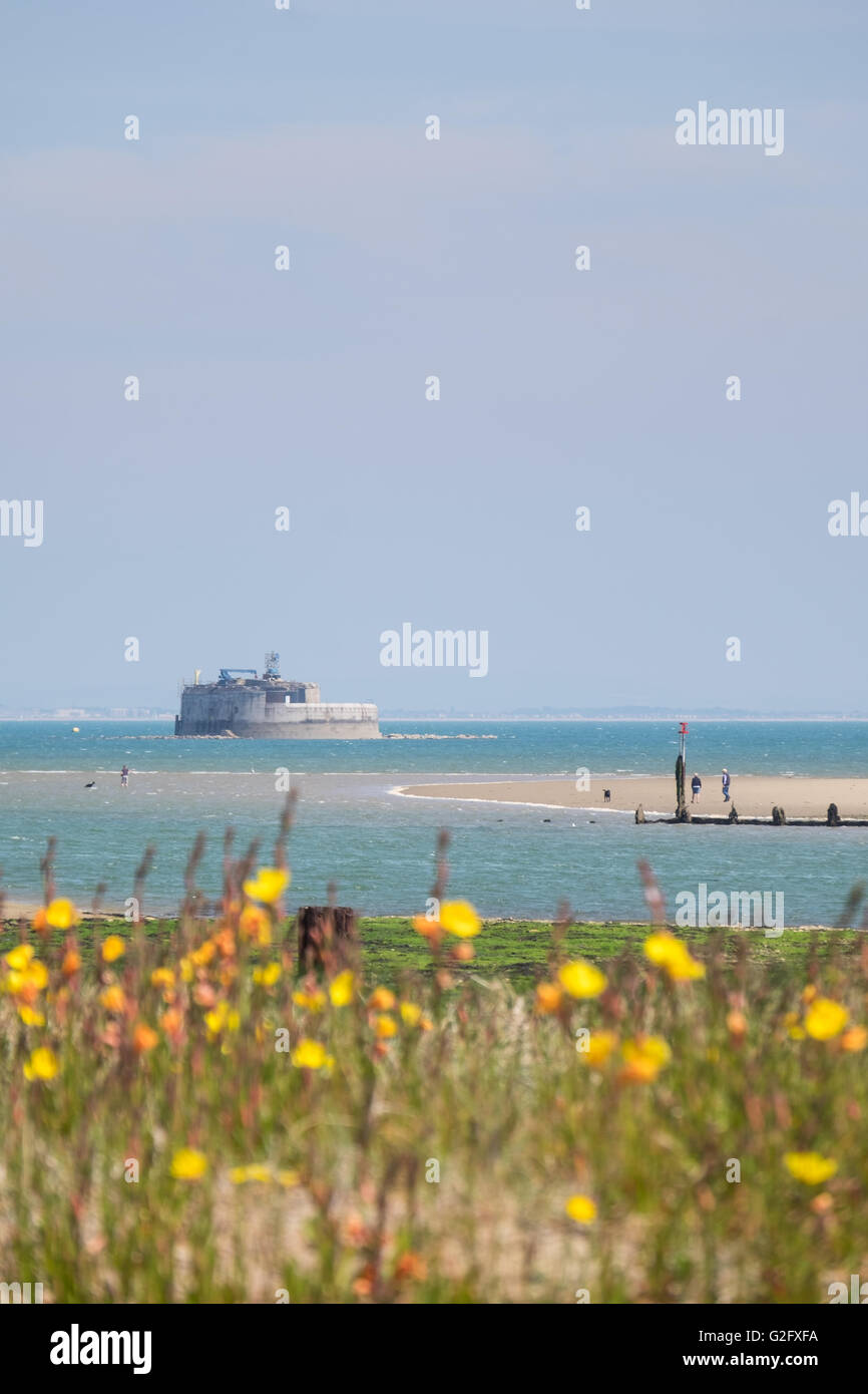 Dog walkers walking on the beach near St. Helen's Fort, in Bembridge on the Isle of Wight Stock Photo