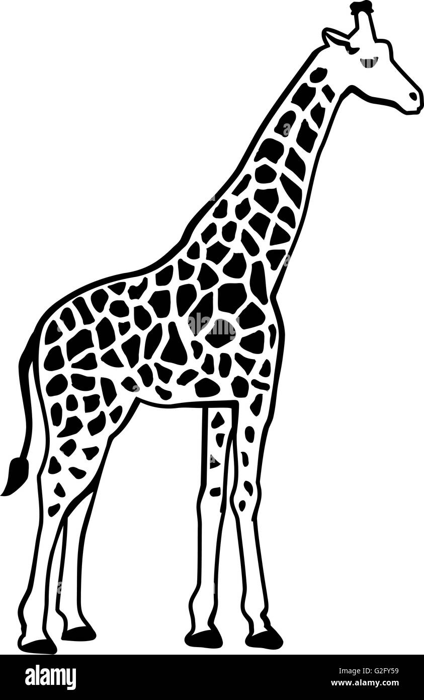 Giraffe Silhouette Patterns