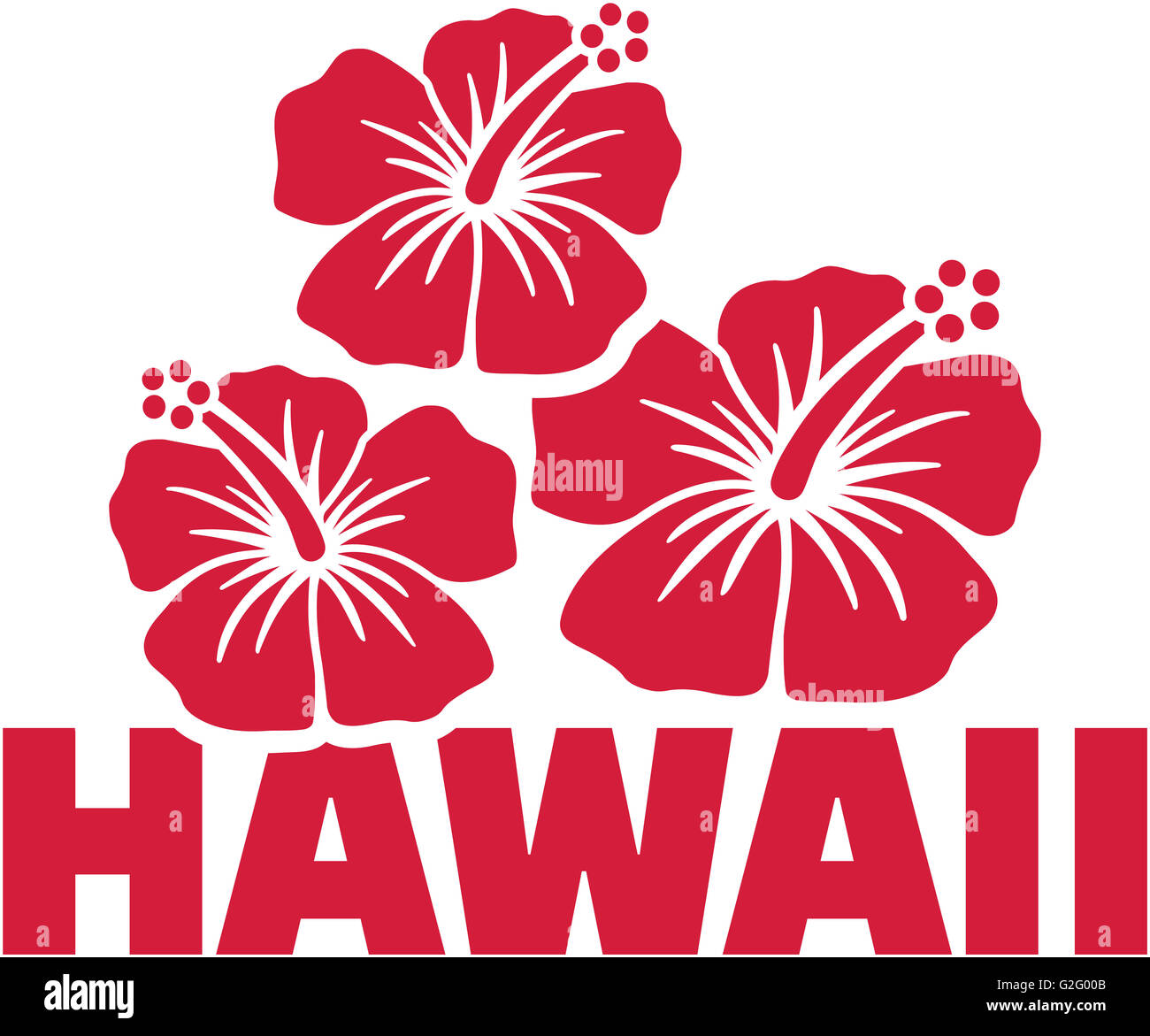 Hawaii word with hibiscus flowers Stock Photo Alamy