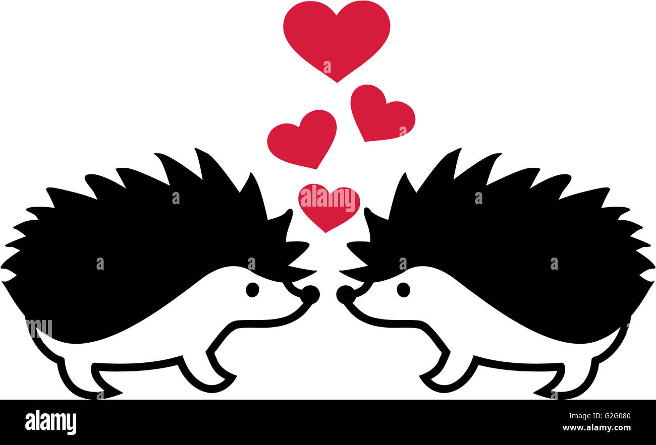 Hedgehogs in love Stock Photo Alamy