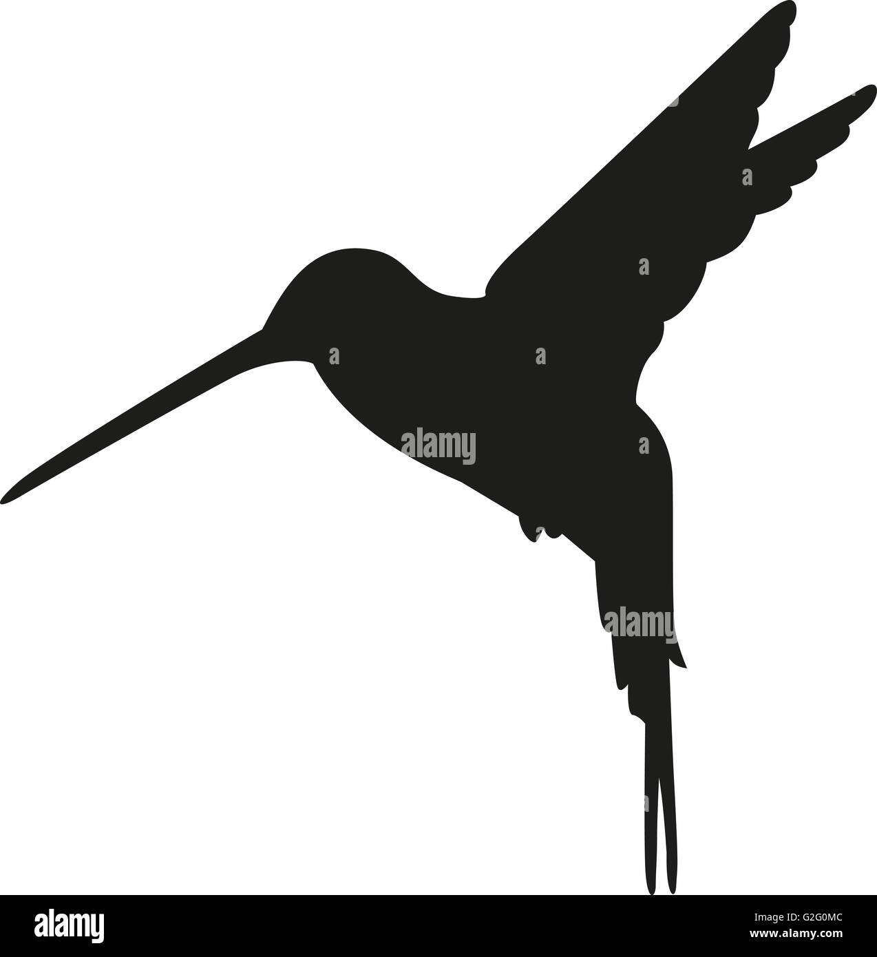 Hummingbird Silhouette High Resolution Stock Photography and Images - Alamy