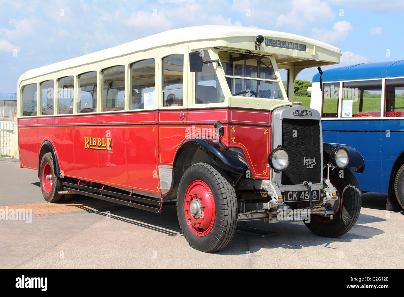 Preserved Leyland Lion bus in Ribble livery on display on Morecambe ...