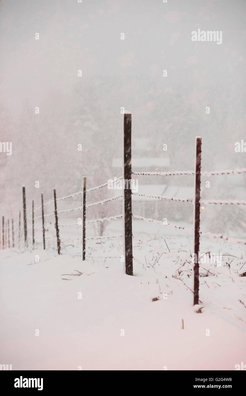 Barbed wire fence landscape day hi-res stock photography and images - Alamy