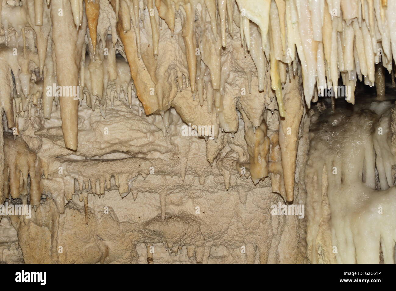 Brownish stalactites at Ruakuri Cave in New Zealand Stock Photo