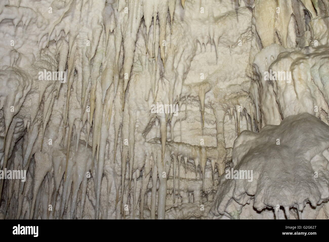 Pointed stalactites at Aranui Cave, Otorohanga, New Zealand Stock Photo