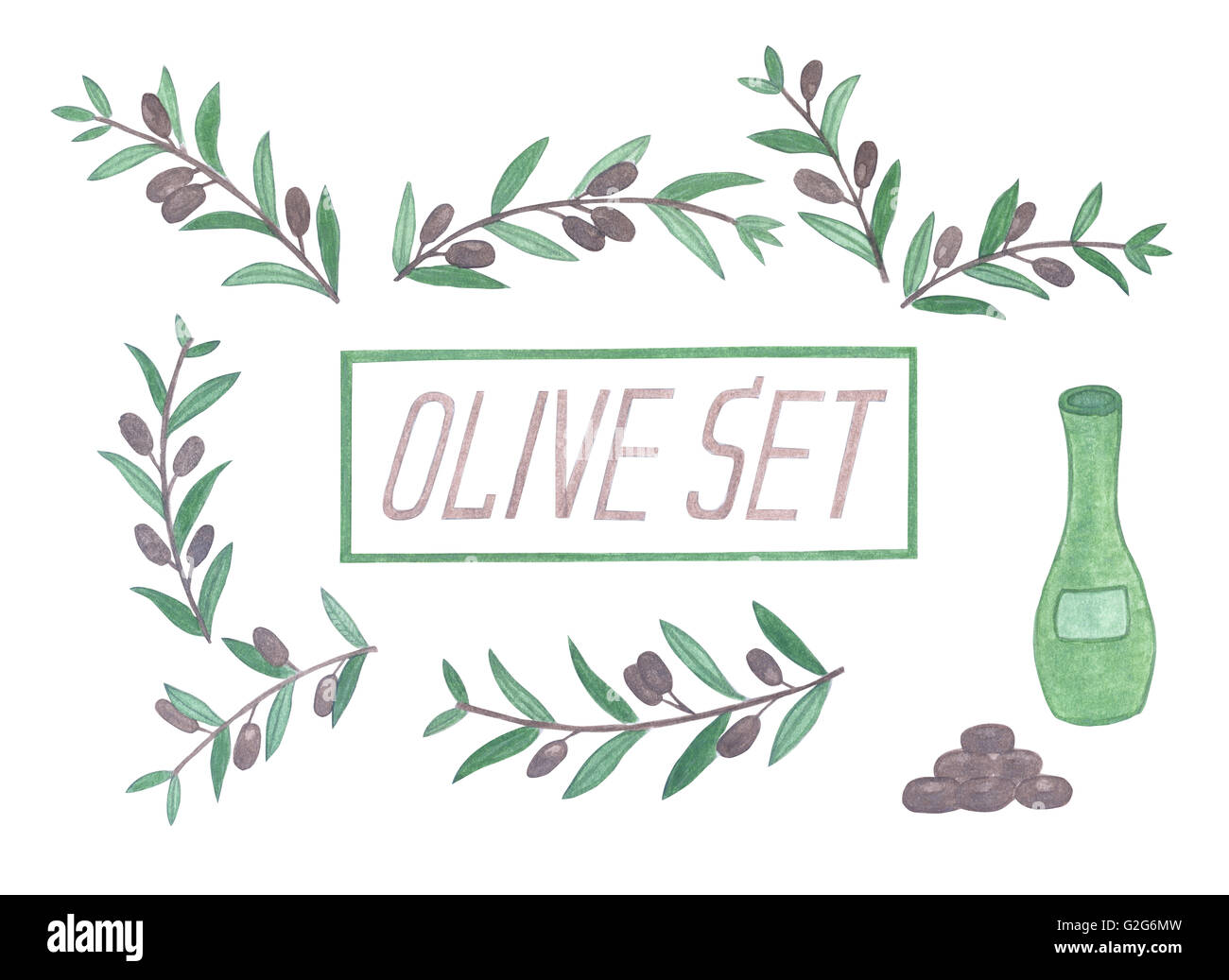 Set of watercolor olive branches. Isolated illustration on white background. Organic and natural concept. Stock Photo