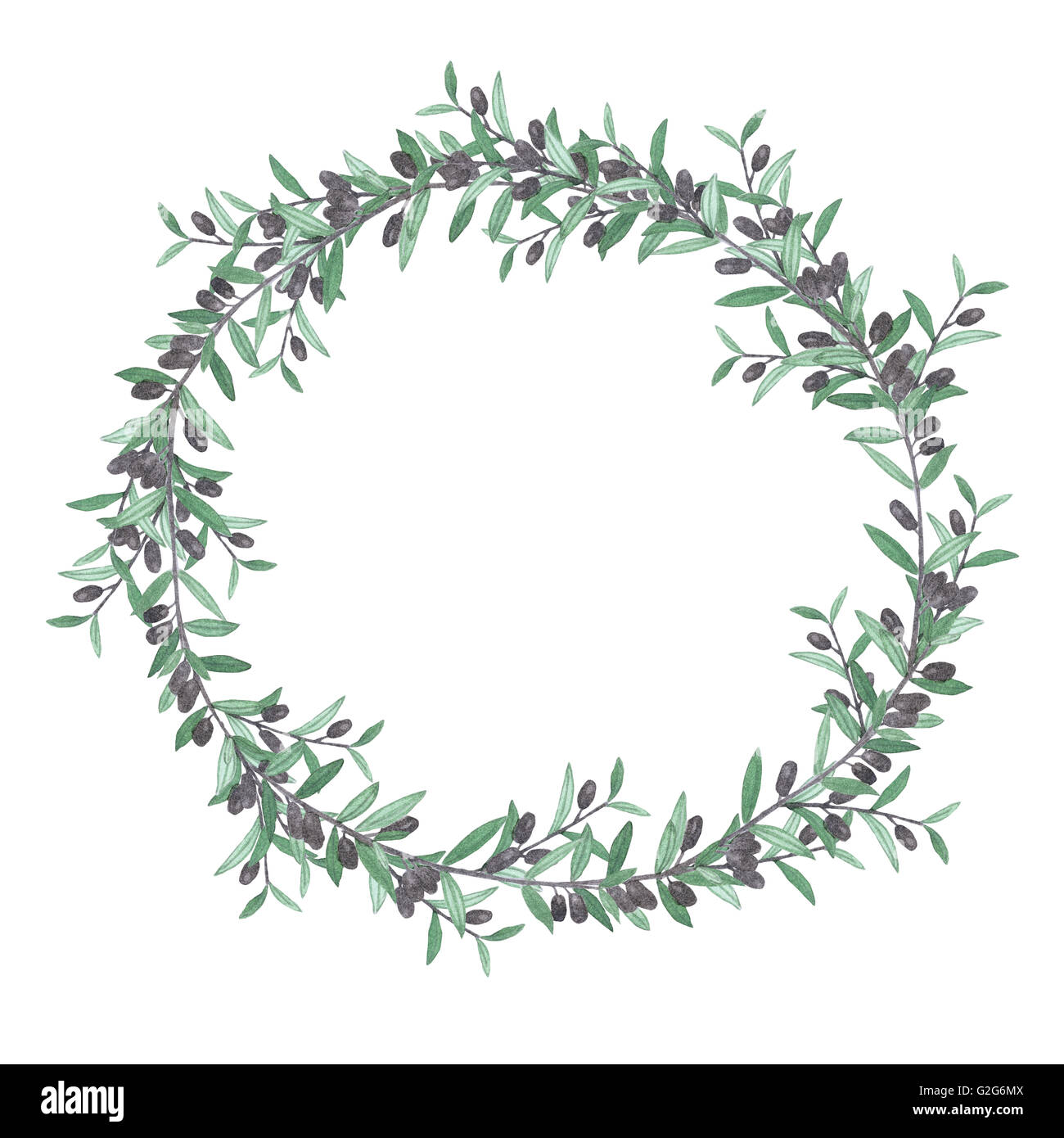 Watercolor olive wreath. Isolated illustration on white background. Organic and natural concept. Stock Photo