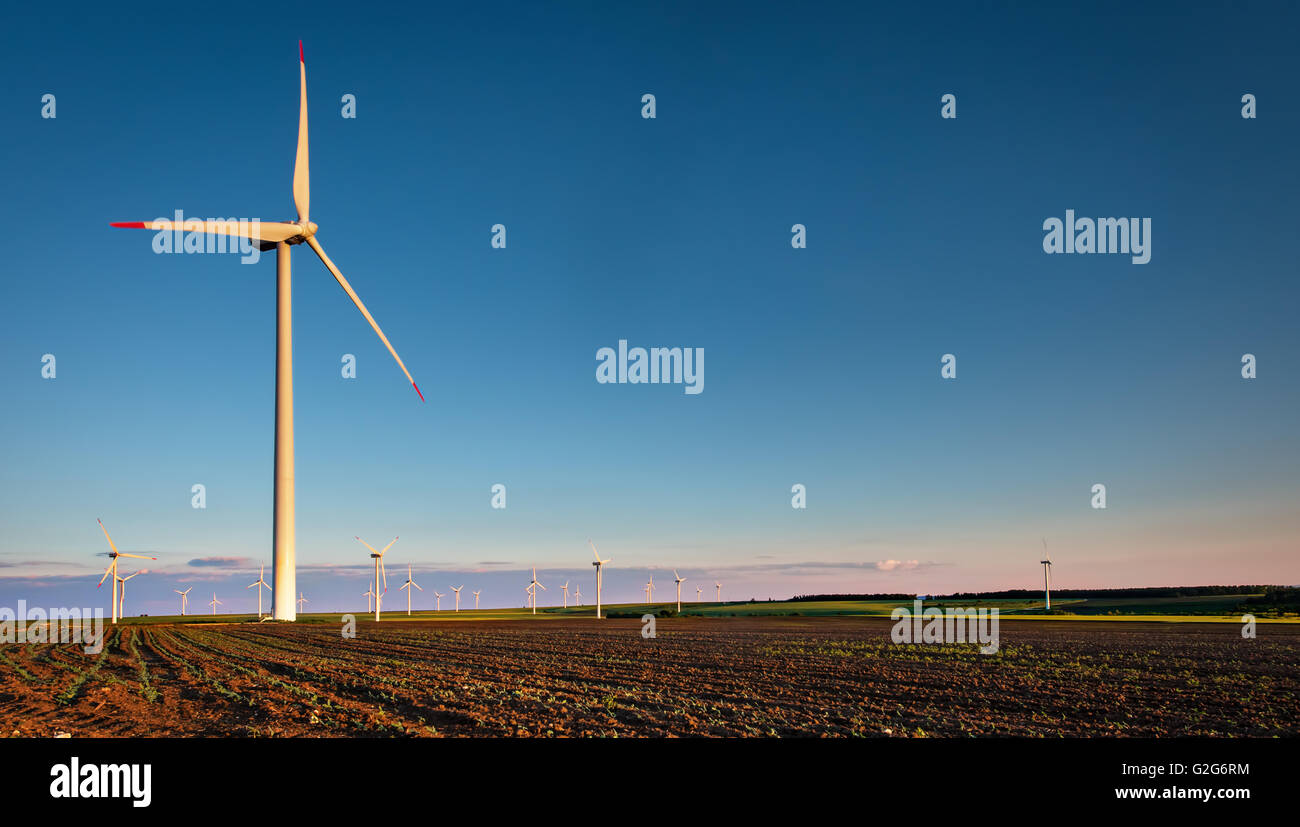 Wind turbine farm with rays of light at sunset. Stock Photo