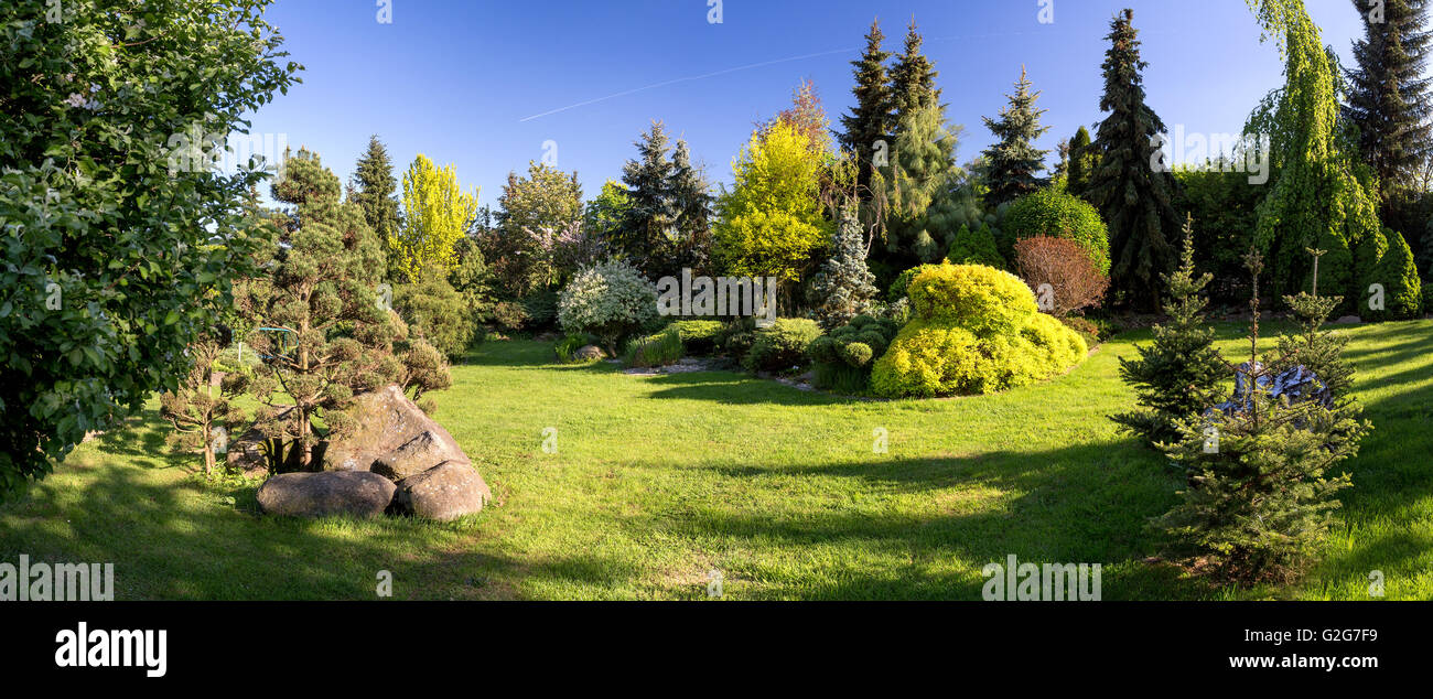 Beautiful spring garden design, with conifer trees, green grass and ...