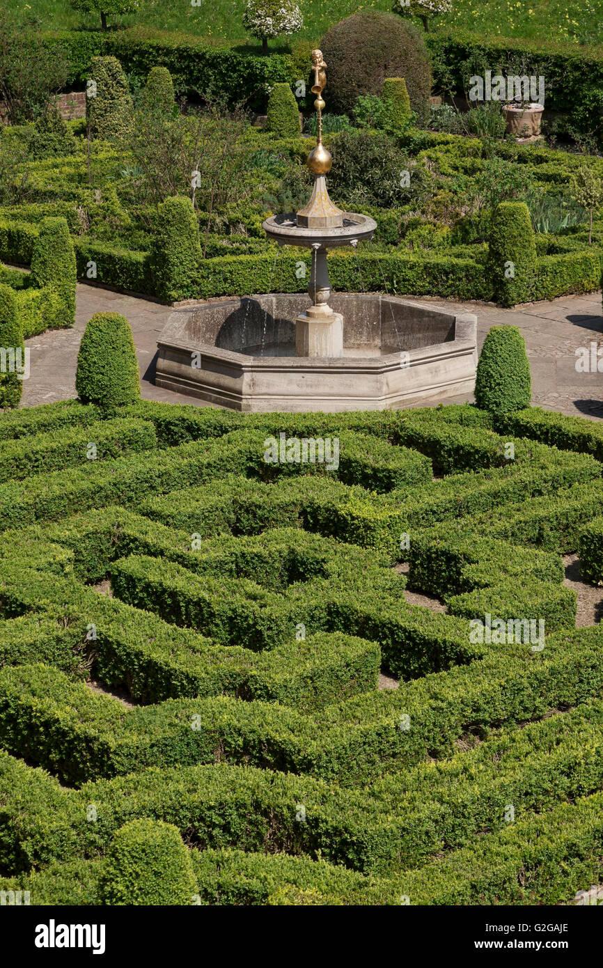 Ornate box hedging, Hatfield House, Hertfodshire, Sunken Knot garden detail with labyrinth Low boxwood hedging Stock Photo