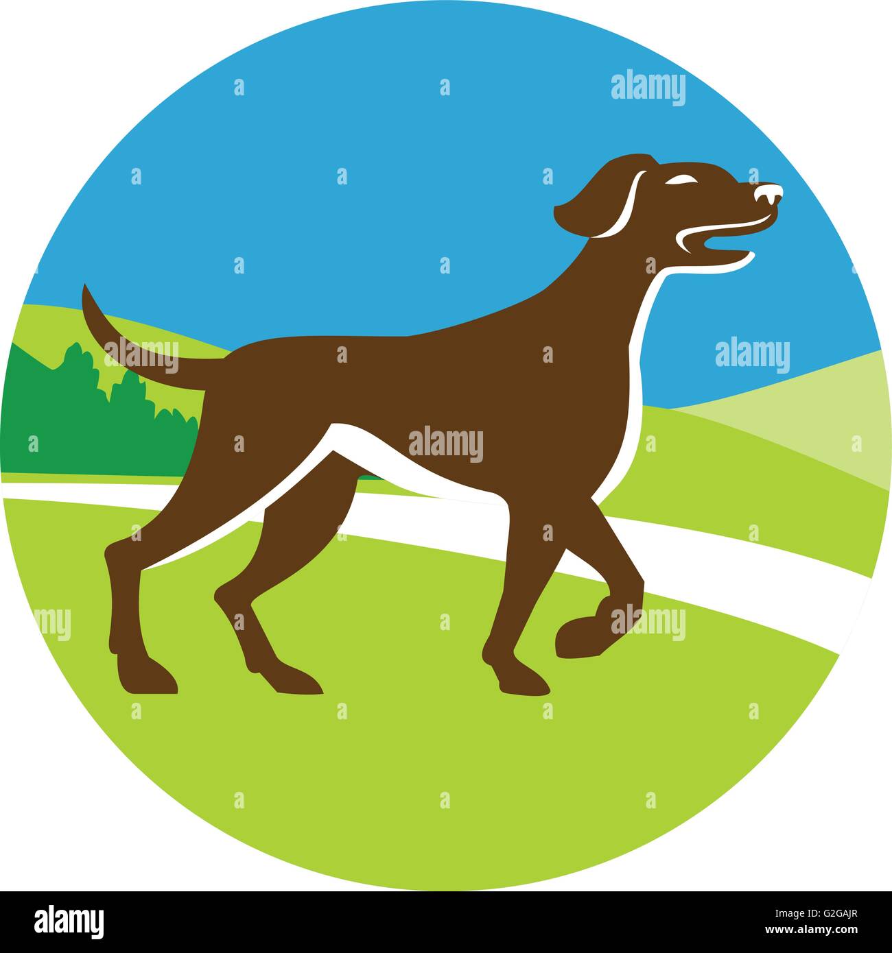 Illustration of an english pointer dog pointing up in a pointer stance with head up tail out and one foot slightly raised viewed from the side set inside circle with grass and trees in the background done in retro style. Stock Vector