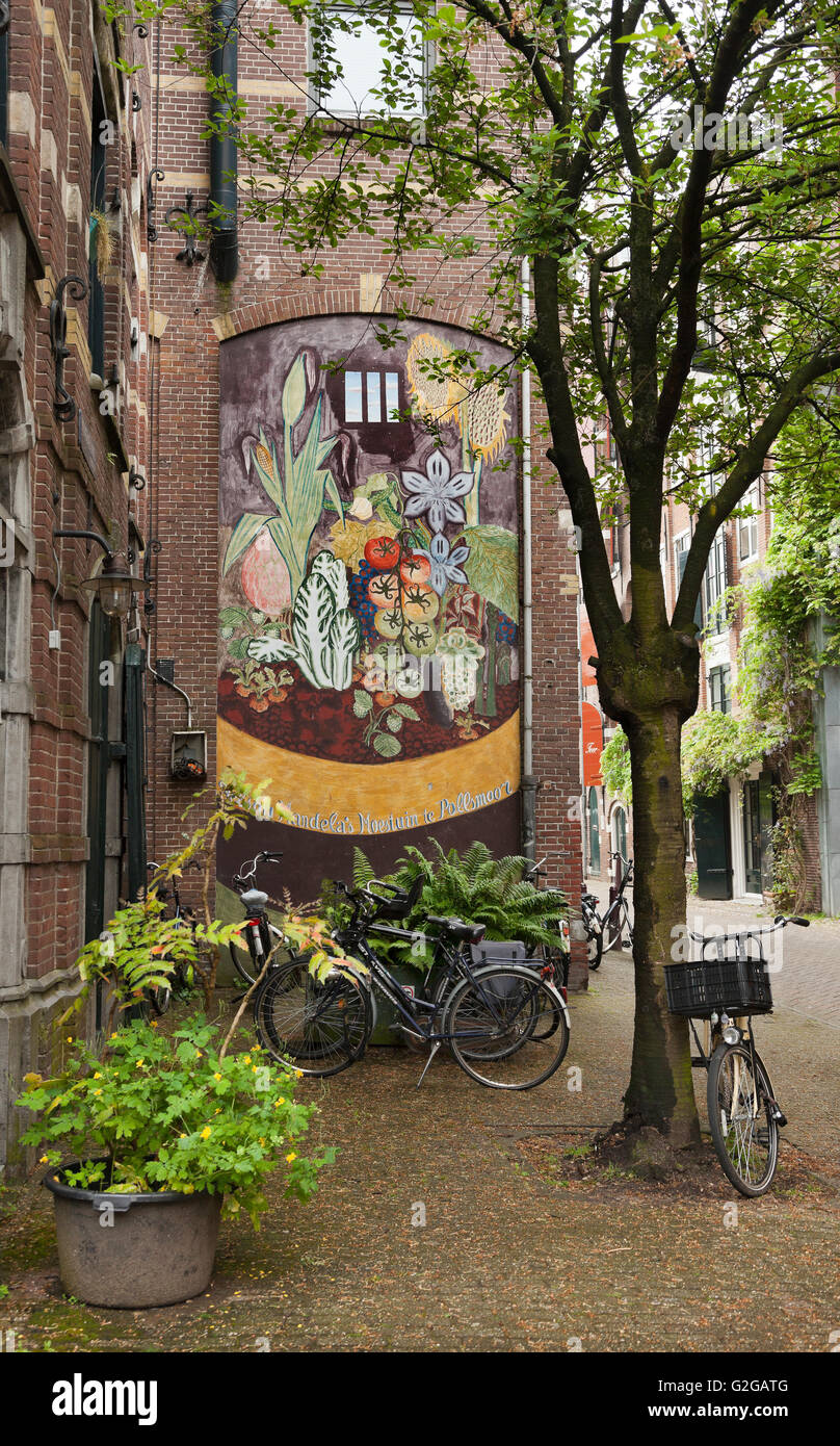 Street mural painting of Nelson Mandela's prison cell with the vegetables he grew while in prison, Amsterdam, Netherlands Stock Photo